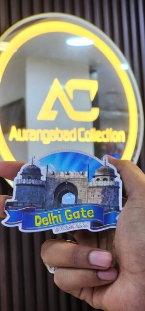 delhi gate magnet