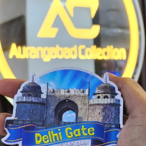 delhi gate magnet
