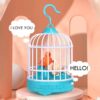talking bird