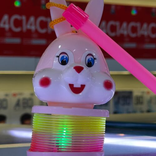 rainbow rabbit