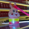 rainbow rabbit