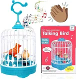 talking bird